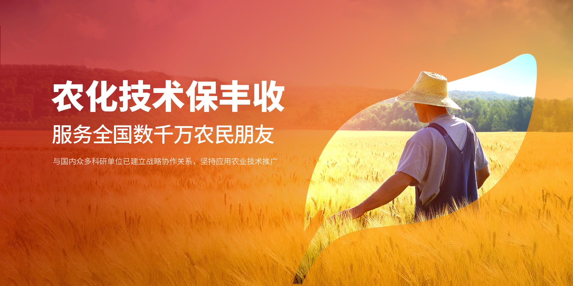 安阳快猫短视频在线观看新肥科技有限公司