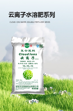 云离子快猫成人网肥系列