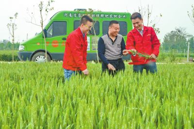快猫短视频在线观看化肥定制化生产让经销商扮演新角色